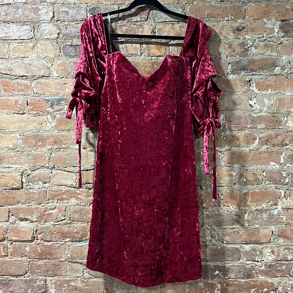 #54 Crushed Red Velvet Dress